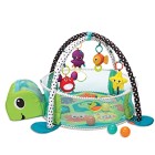 Indoor Play with Activity Gym