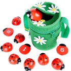 Ladybugs Everywhere!