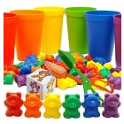 Sort And Count Activity