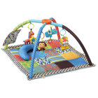 Twist Fold Activity Gym