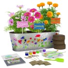 Paint and Plant Flower Gaden — $$