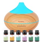 Essential Oil Diffuser — $$
