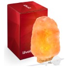Himalayan Salt Lamp — $
