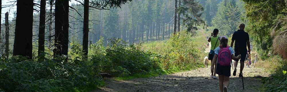 27 Best Gifts For Hikers – Memorable & Unique Ideas (2025)