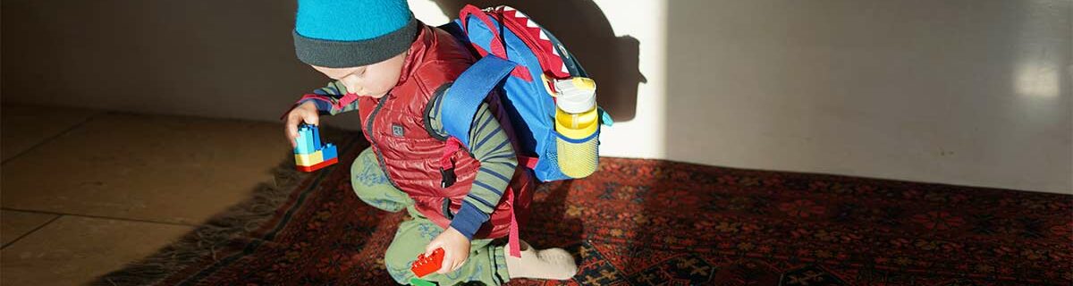 12 Best Toddler Lunch Boxes for Boys & Girls (2025 Reviews)