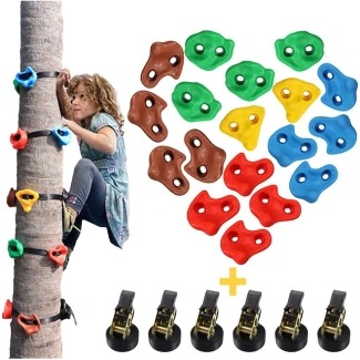Tree Climbing Holds