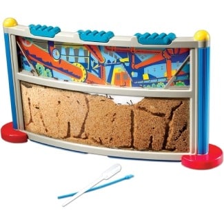 Ant Farm