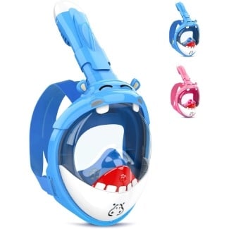 Full Face Snorkel