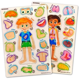 Learning Human Body Parts Puzzle