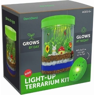 Light-Up Terrarium Kit