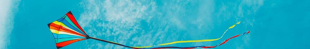 kite flying in sky