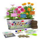Dan&Amp;Darci Paint &Amp; Plant Flower Growing Kit