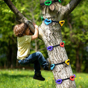 Ninja Tree Climber