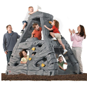 Step 2 Skyward Summit