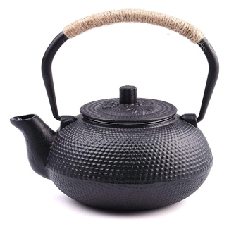 Towa Workshop Japanese Tetsubin Cast Iron Teapot