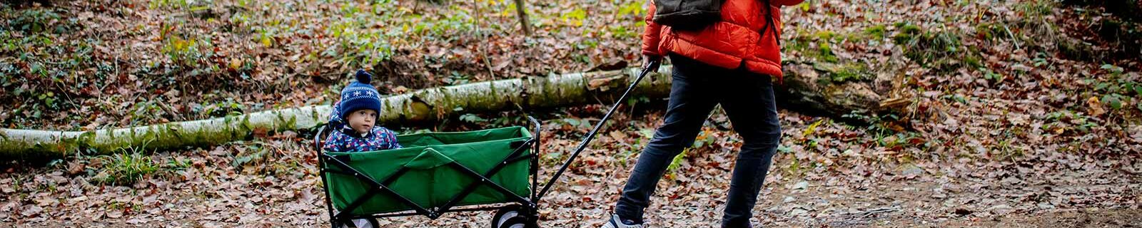 father pulling toddler in wagon