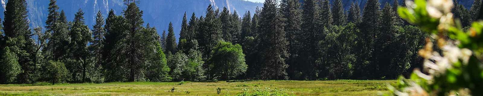 Mountains and green pastures