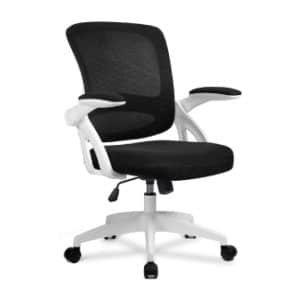 GTXMAN Ergonomic Mesh Desk Chair