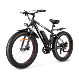 Speedrid Electric Removable Battery