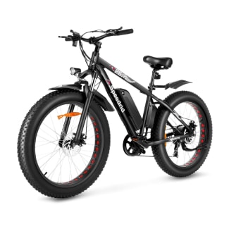 Spedrid Fat Tire Electric Bike
