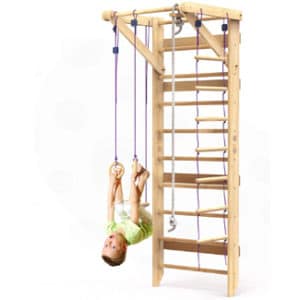 Swedish Climbing Wall and Ladder