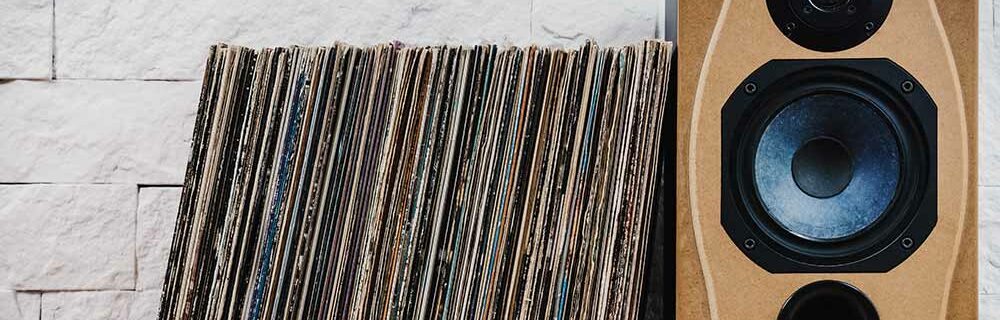 bookshelf speaker with records