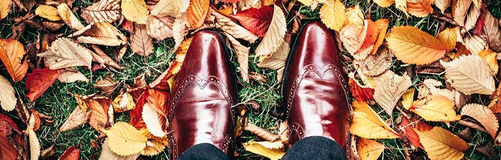Dress shoes in fall leaves