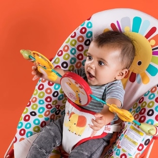 Bright Starts Playful Pinwheels Bouncer With Vibrating Seat