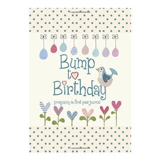 Bump To Birthday, Pregnancy &Amp; First Year Baby Journal