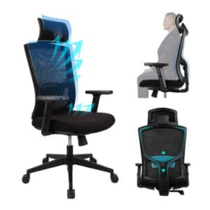 Ergonomic Office Chair- Ergousit