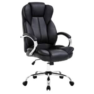Ergonomic Office Chair with Lumbar Support