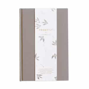 Childhood History Journal – Pregnancy Thru Age 18