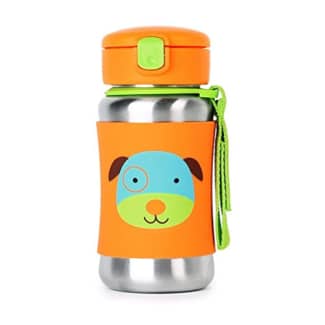 Skip Hop Toddler Sippy Cup With Straw