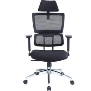 Ticova High Back Ergonomic Office Chair