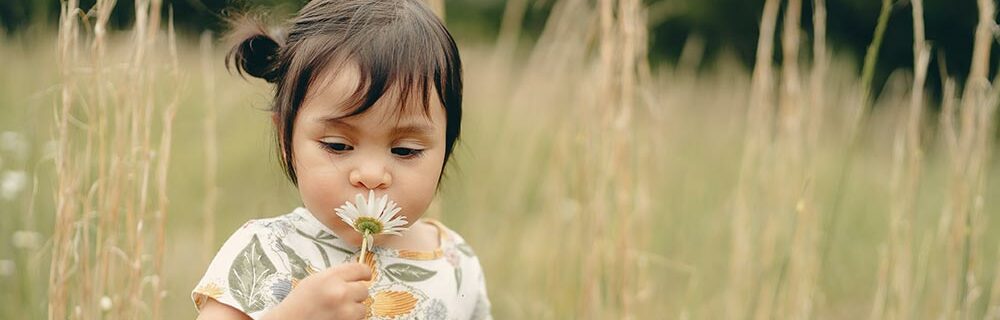 Toddler girl playing in a field with a flower