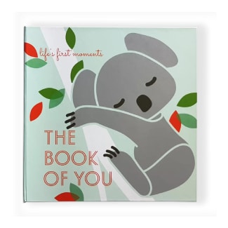 Little Lion Studio Scrapbook
