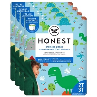 The Honest Company Training Pants