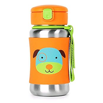 Skip Hop Toddler Sippy Cup with Straw
