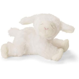 Comfort with a Soft Animal