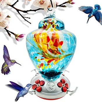 Hummingbird Feeder Hand Blown Glass — $$