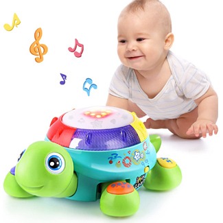 iPlay, iLearn Musical Turtle Toy