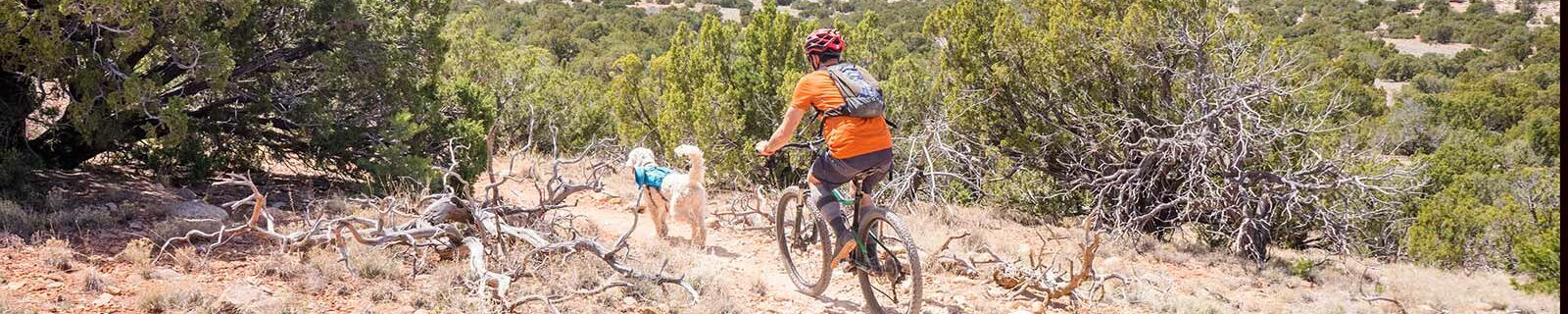 Bike ride in new mexico with dog