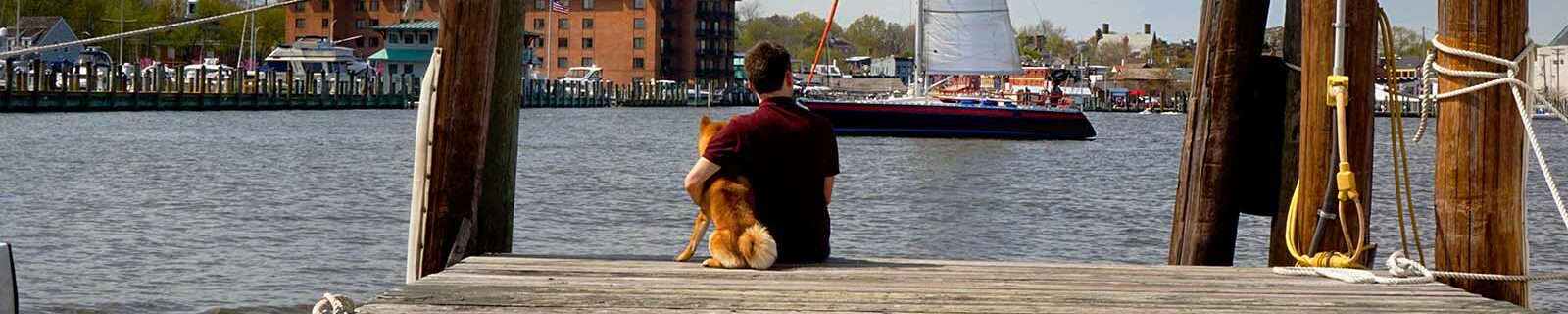 Enjoying harbor scenery with dog