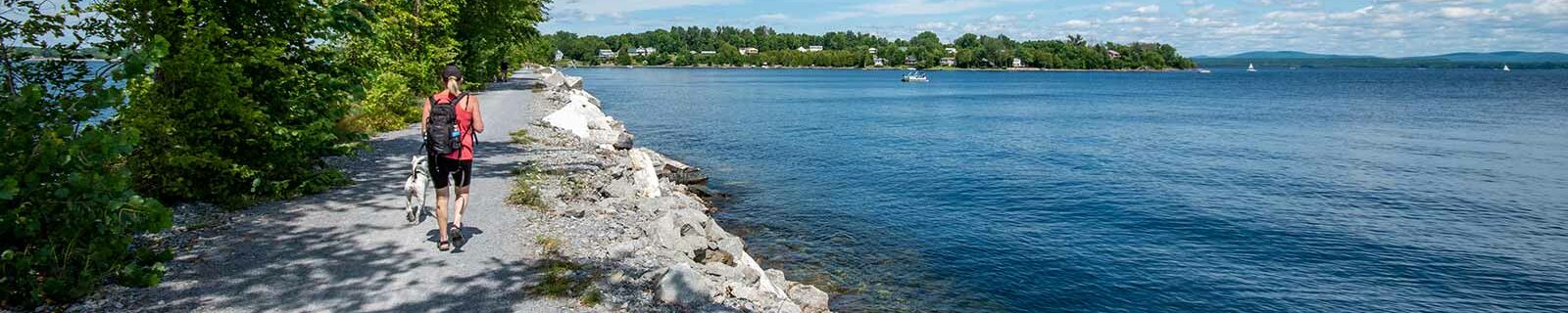 Walking dog in vermont