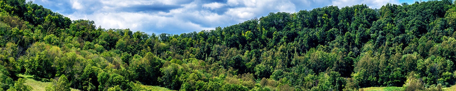 West virginia mountains