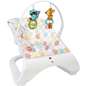 fisher price bouncer