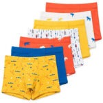 Lucky & Me Nolan Boy Boxer Brief Underwear