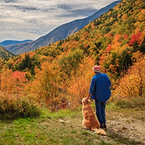 Man and dog enjoying view in mountains