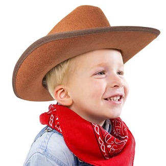 Narwhal Novelties Junior Cowboy Hat