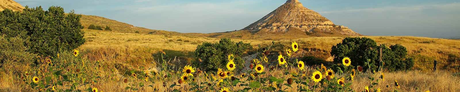 Nebraska landscape